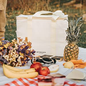 Cooler Bag For Frozen Cold Hot Food And Drinks - Insulated Bag For Beach, Picnic, Grocery Shopping Bags 3